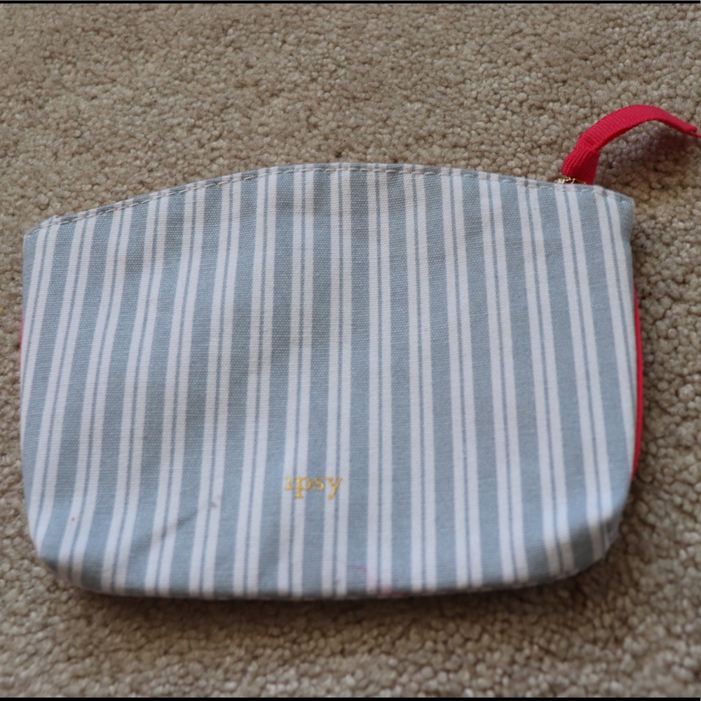 January ipsy cosmetic bag
